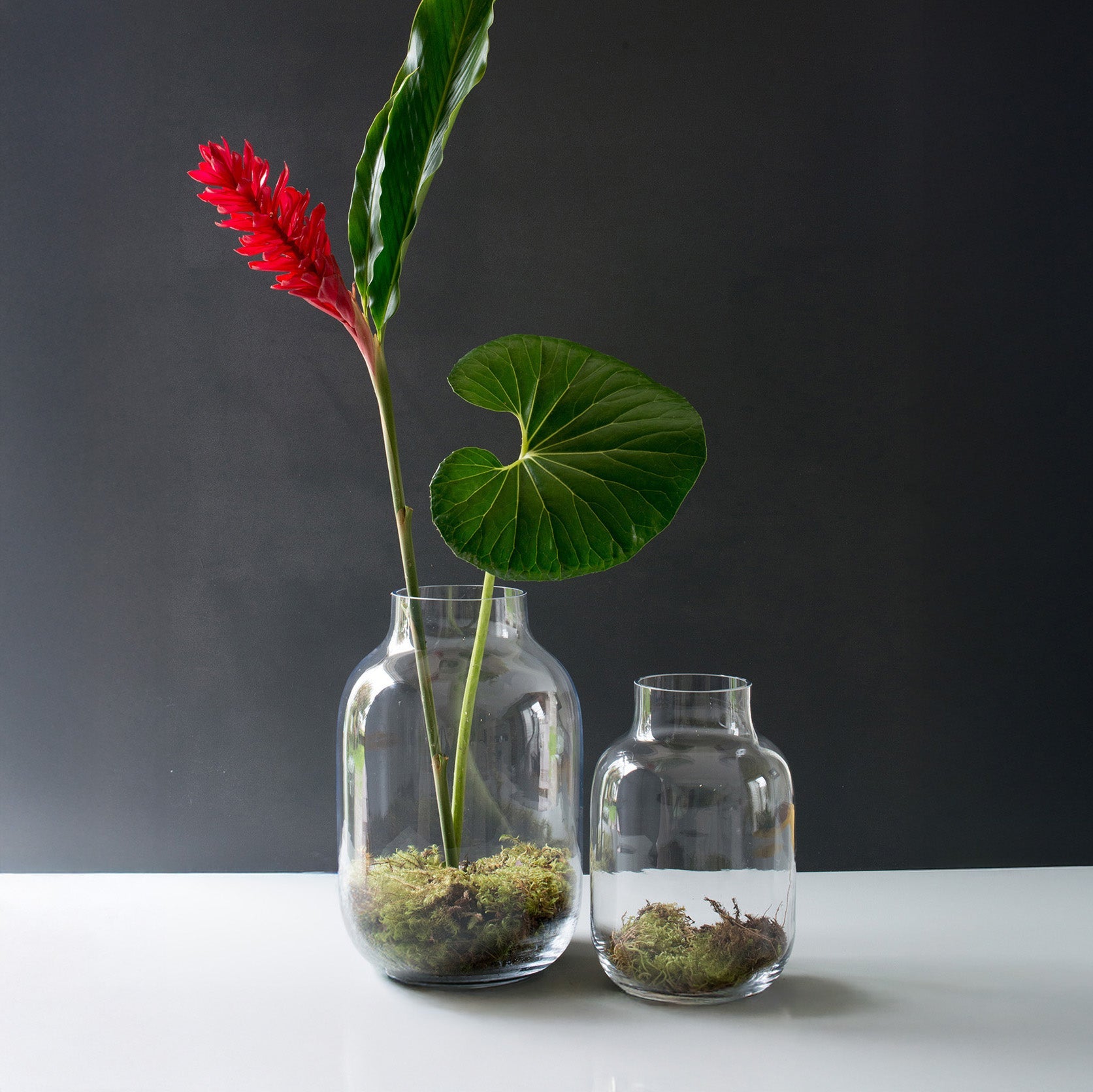 Vases & Decor